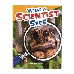 Conquering Fourth Grade, 4-Book Set -Children School Supplies S731520 1