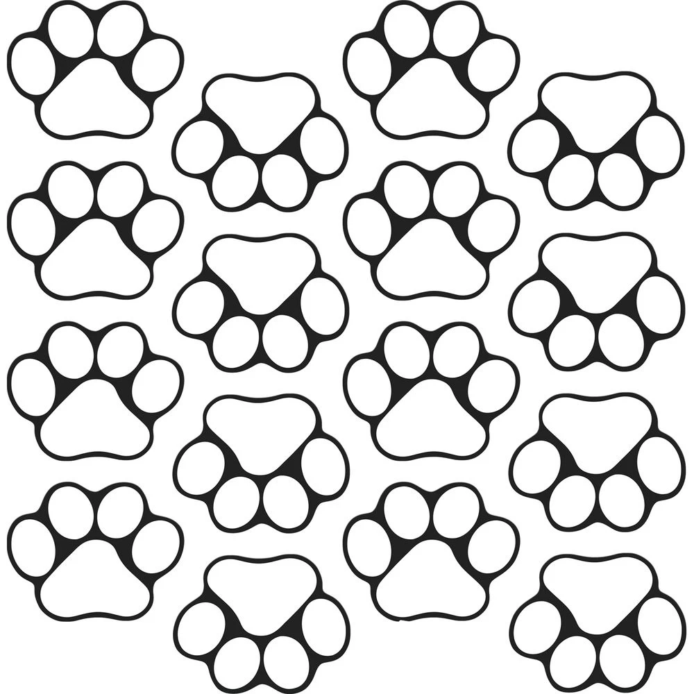 Ready-To-Decorate® Student Name Paw-Print Magnets - 32 Magnets 4 Ready-To-Decorate® Student Name Paw-Print Magnets - 32 Magnets - Image 4