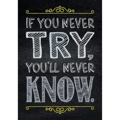 Inspire U Posters - If You Never Try... - 1 Poster