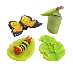 Excellerations® EarlySTEM™ My First Soft Butterfly Life Cycle - 4 Models