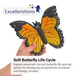 Excellerations® EarlySTEM™ My First Soft Butterfly Life Cycle - 4 Models -Children School Supplies S919348 1