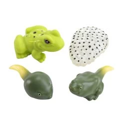 Excellerations® EarlySTEM™ My First Soft Frog Life Cycle - 4 Models 