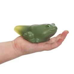 Excellerations® EarlySTEM™ My First Soft Frog Life Cycle - 4 Models  -Children School Supplies S919359 2