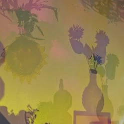 Early Years Projector -Children School Supplies S943079 7