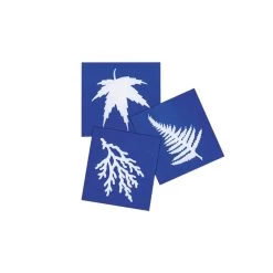 Steve Spangler Science® Nature Print Sun Paper (30 Pack)