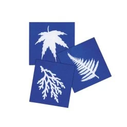 Steve Spangler Science® Nature Print Sun Paper (30 Pack) -Children School Supplies S946361 1