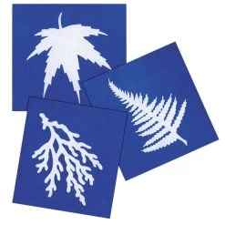 Steve Spangler Science® Nature Print Sun Paper (30 Pack) -Children School Supplies S946361 2