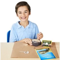 National Geographic Dino Fossil Dig Science Education Kit -Children School Supplies S954748 1