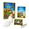 National Geographic Dino Egg Dig Science Education Kit
