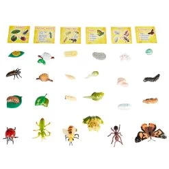 Life Cycle Figurines - 24 Pieces