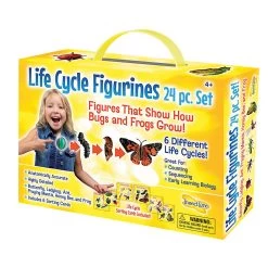 Life Cycle Figurines - 24 Pieces -Children School Supplies S981273 1